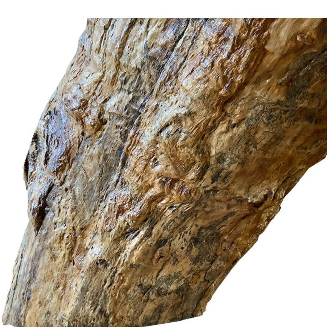 Sebuah bangku (Bench) istimewa dari Kayu Ganitri dirancang oleh BSBarchitectPohon Ganitrinya tel (2)